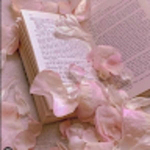 Meet your Posher, Kacie